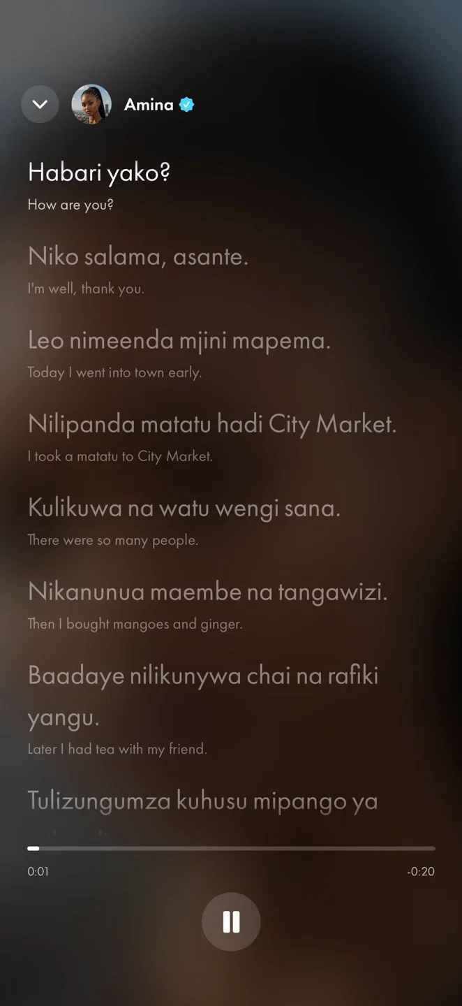 Lexifari conversation transcript with Swahili lines and English translations